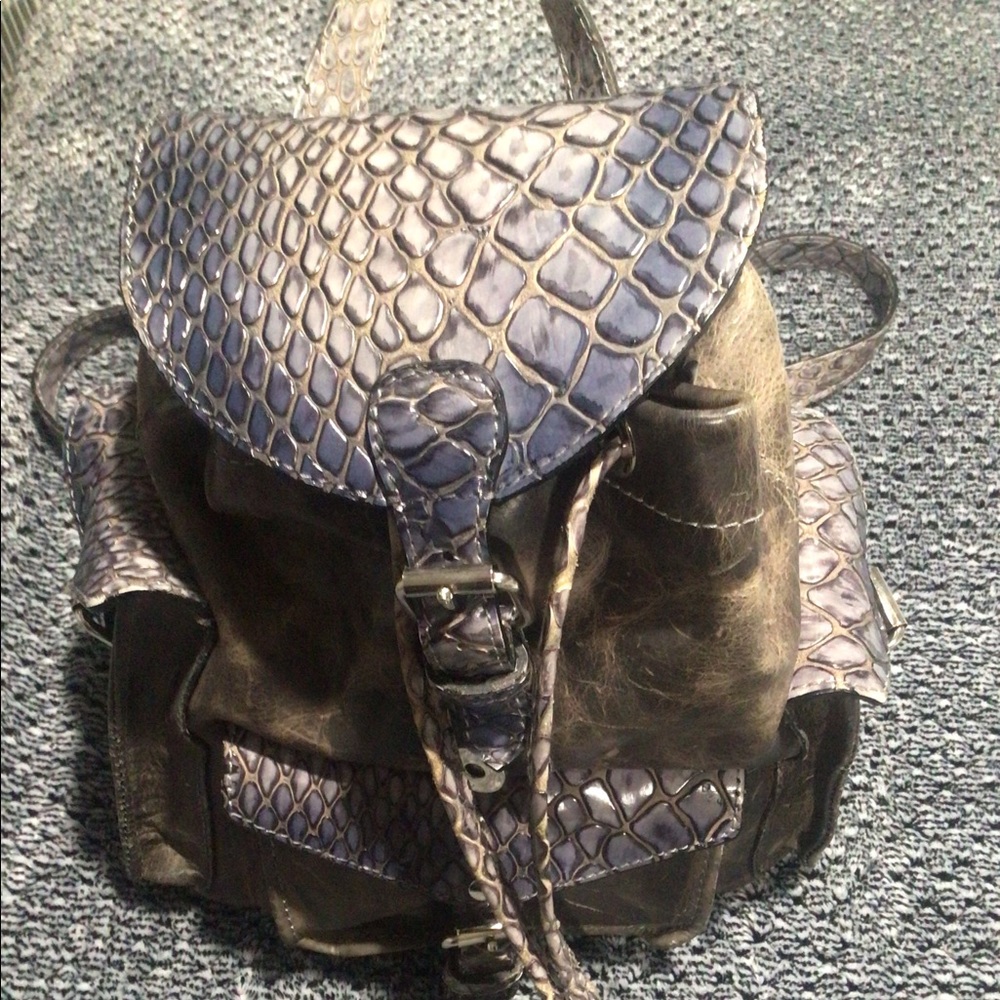 Freebird BRETT Handbag/Backpack.